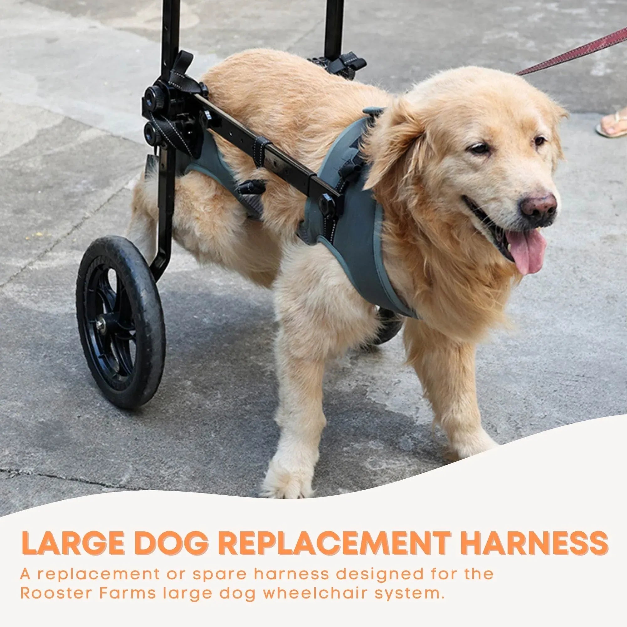 Dog Wheelchairs & Mobility Aids in Australia — The Complete Buying Guide