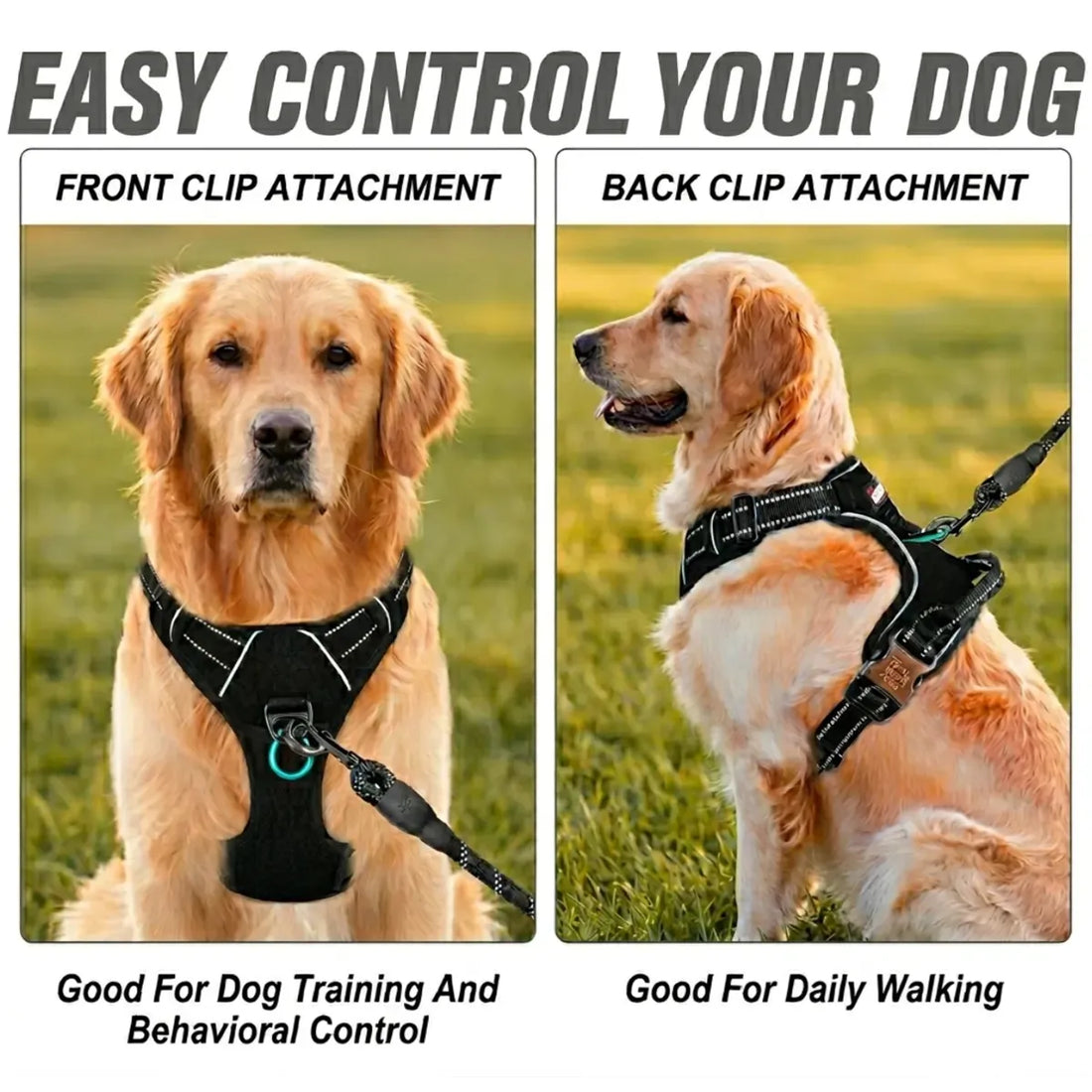 Dog wearing black no-pull harness vest on a walk — adjustable fit S to XL, Furry Heart Paws