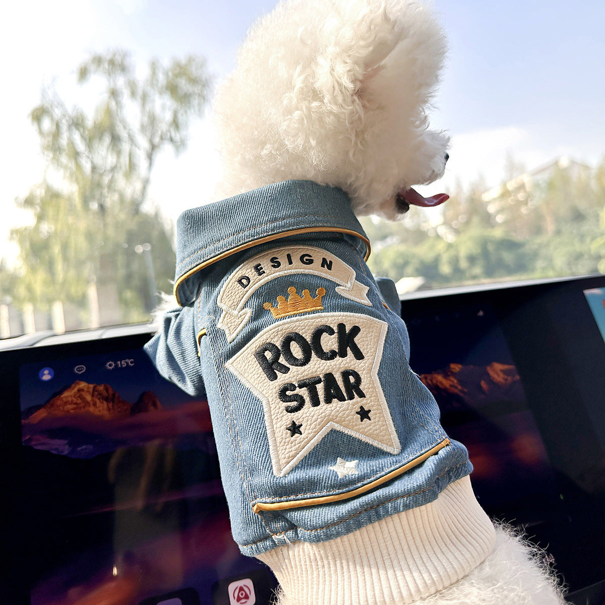 Dog Apparel