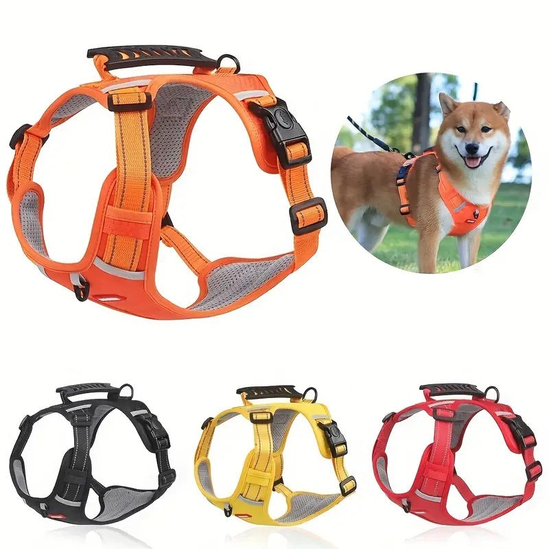Dog Training Aids