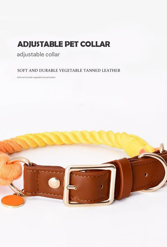 Dog Collars
