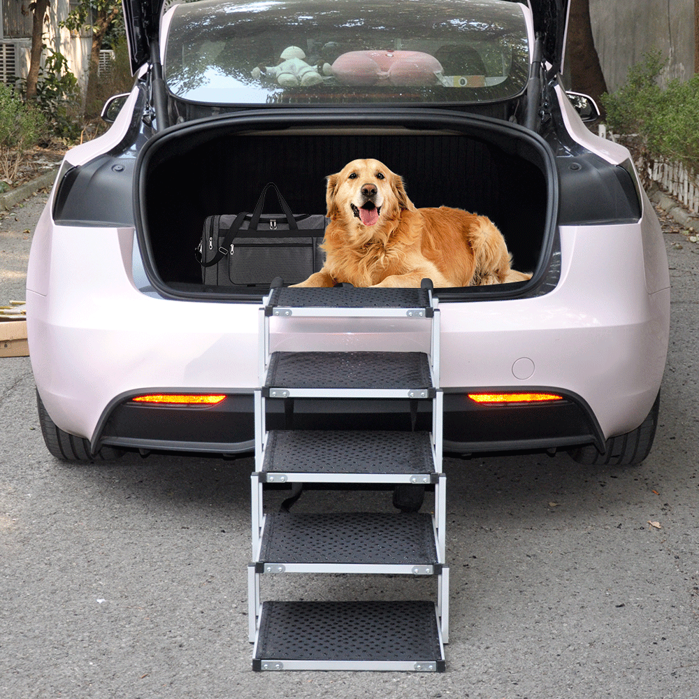 Dog Steps & Ramps