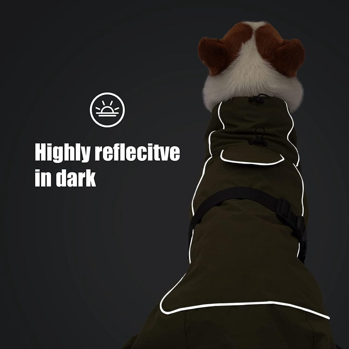 Dog Raincoat - Dog Jacket - Waterproof Winter Dog Coat - Windproof Dog Coat - Winter Dog Coat - Reflective Strip - Green - Size S - Perfect for Small and Medium Dogs