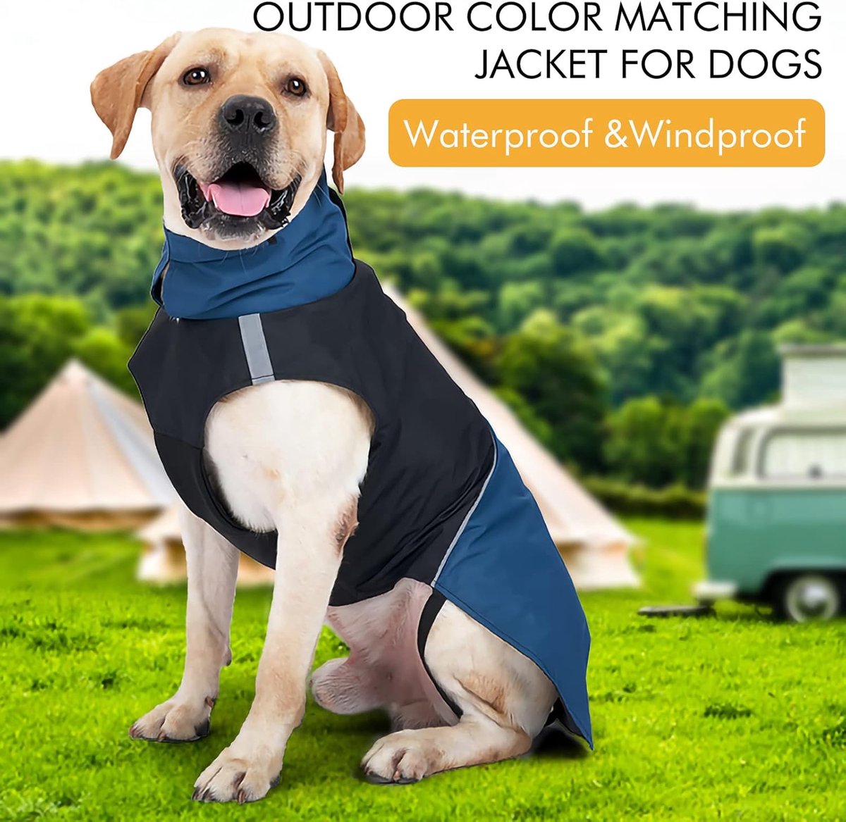 Dog Raincoat - Dog Jacket - Waterproof Winter Dog Jackets - Windproof Dog Jacket - Winter Dog Jacket - Reflective Strip - Perfect for Small Dogs - Medium-Sized Dogs - Blue and Black - Size S