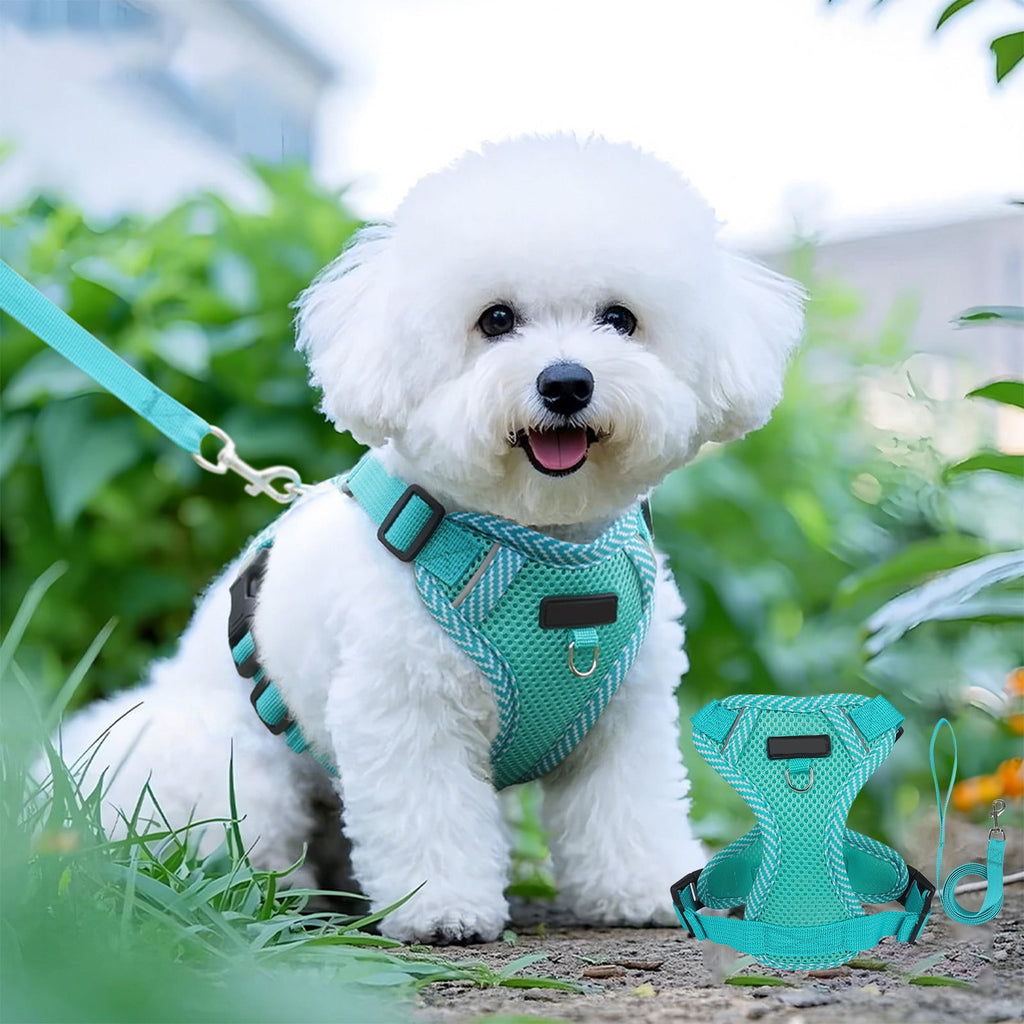 Small Dog Harness with Pet Lead, Puppy Harness Reflective Step-in Puppy Pet Harnesses for Small Medium Dogs and Cats Blue