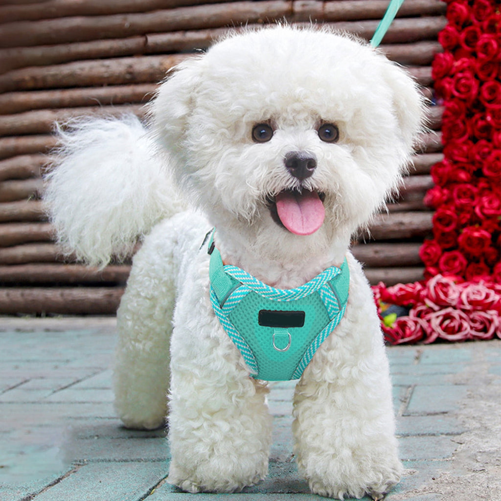 Small Dog Harness with Pet Lead, Puppy Harness Reflective Step-in Puppy Pet Harnesses for Small Medium Dogs and Cats Blue