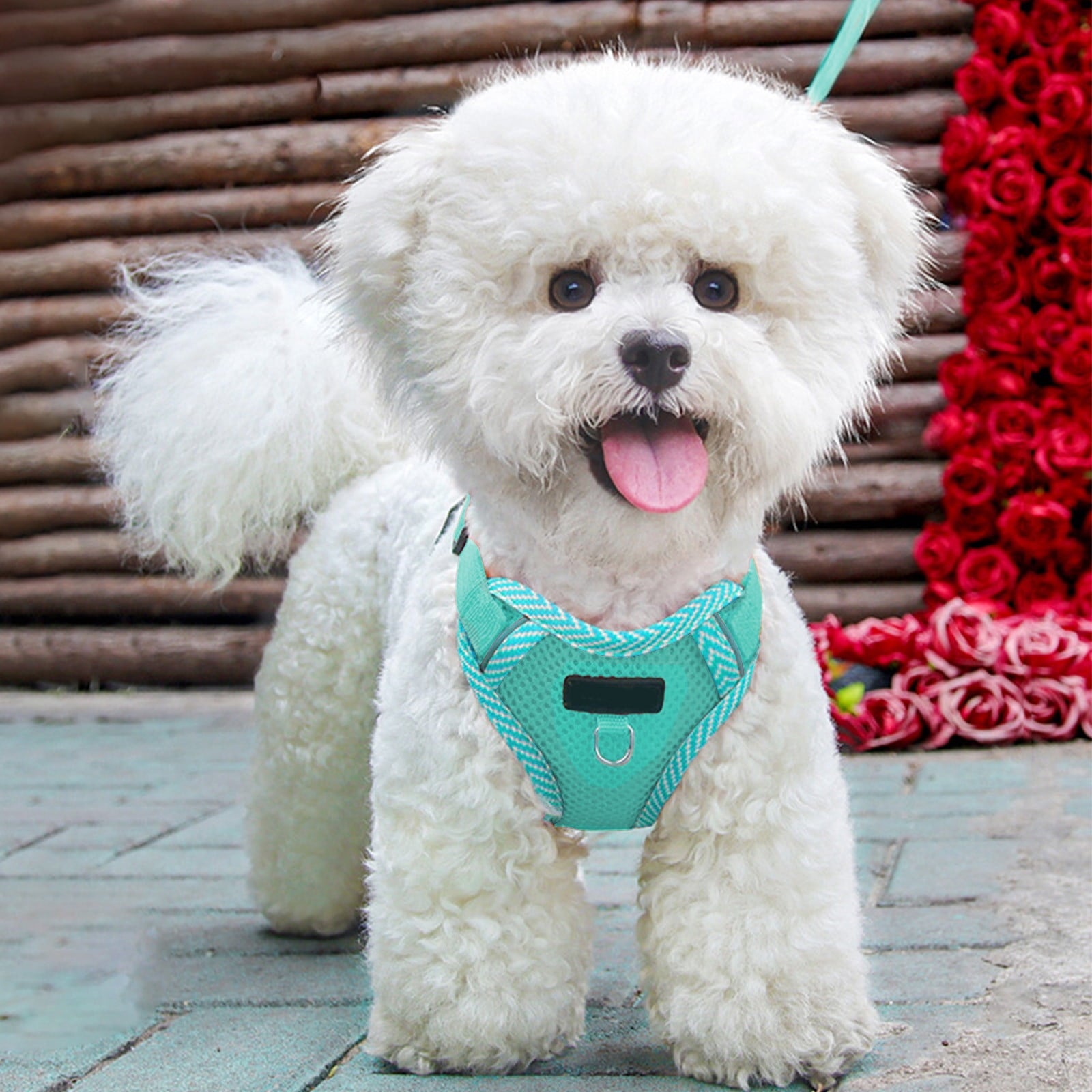 Small Dog Harness with Pet Lead, Puppy Harness Reflective Step-in Puppy Pet Harnesses for Small Medium Dogs and Cats Blue