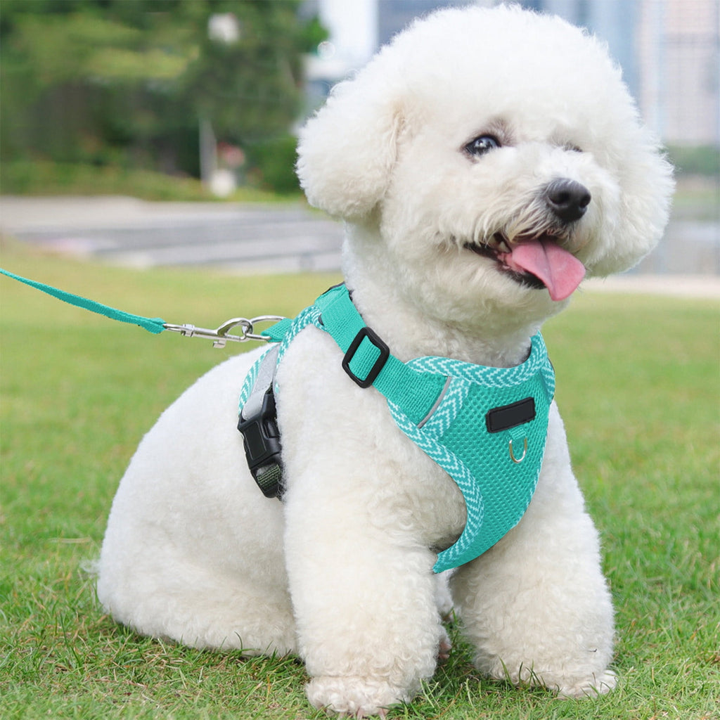 Small Dog Harness with Pet Lead, Puppy Harness Reflective Step-in Puppy Pet Harnesses for Small Medium Dogs and Cats Blue
