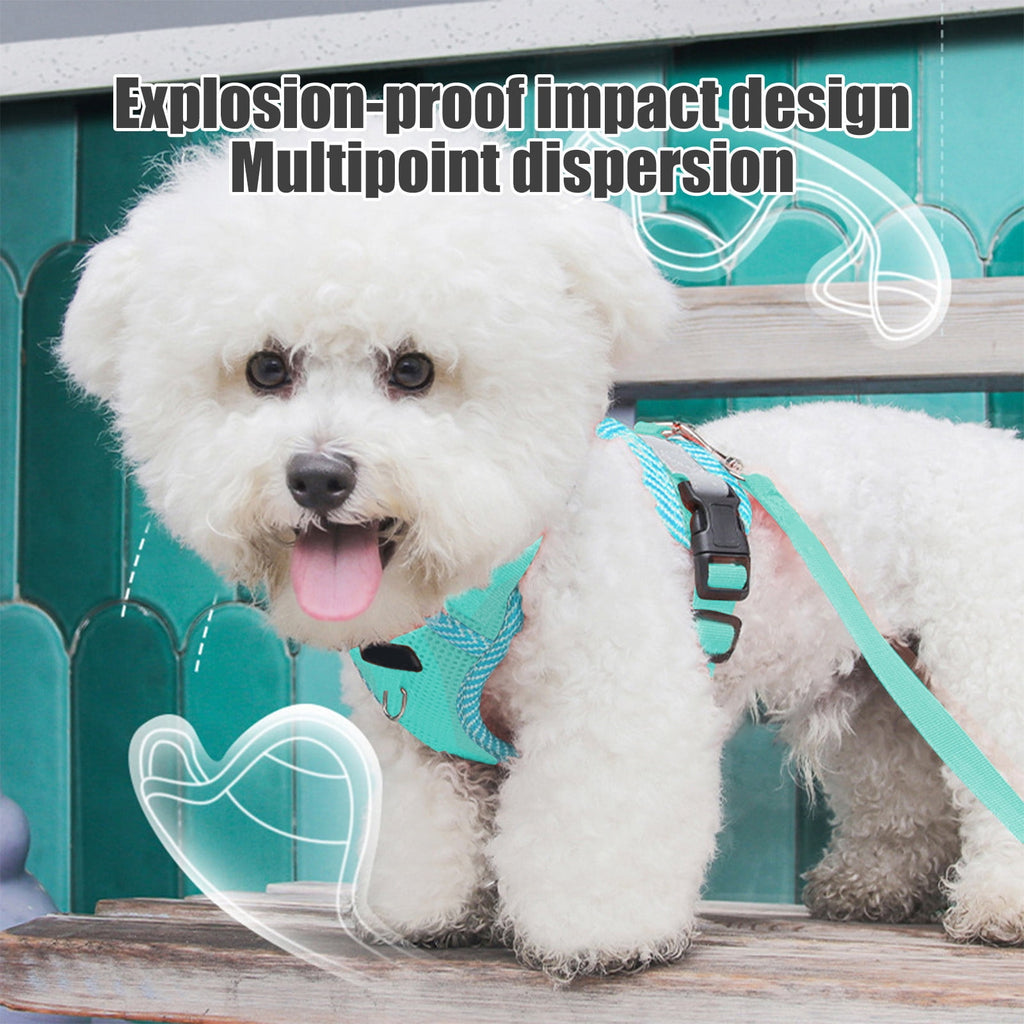 Small Dog Harness with Pet Lead, Puppy Harness Reflective Step-in Puppy Pet Harnesses for Small Medium Dogs and Cats Blue