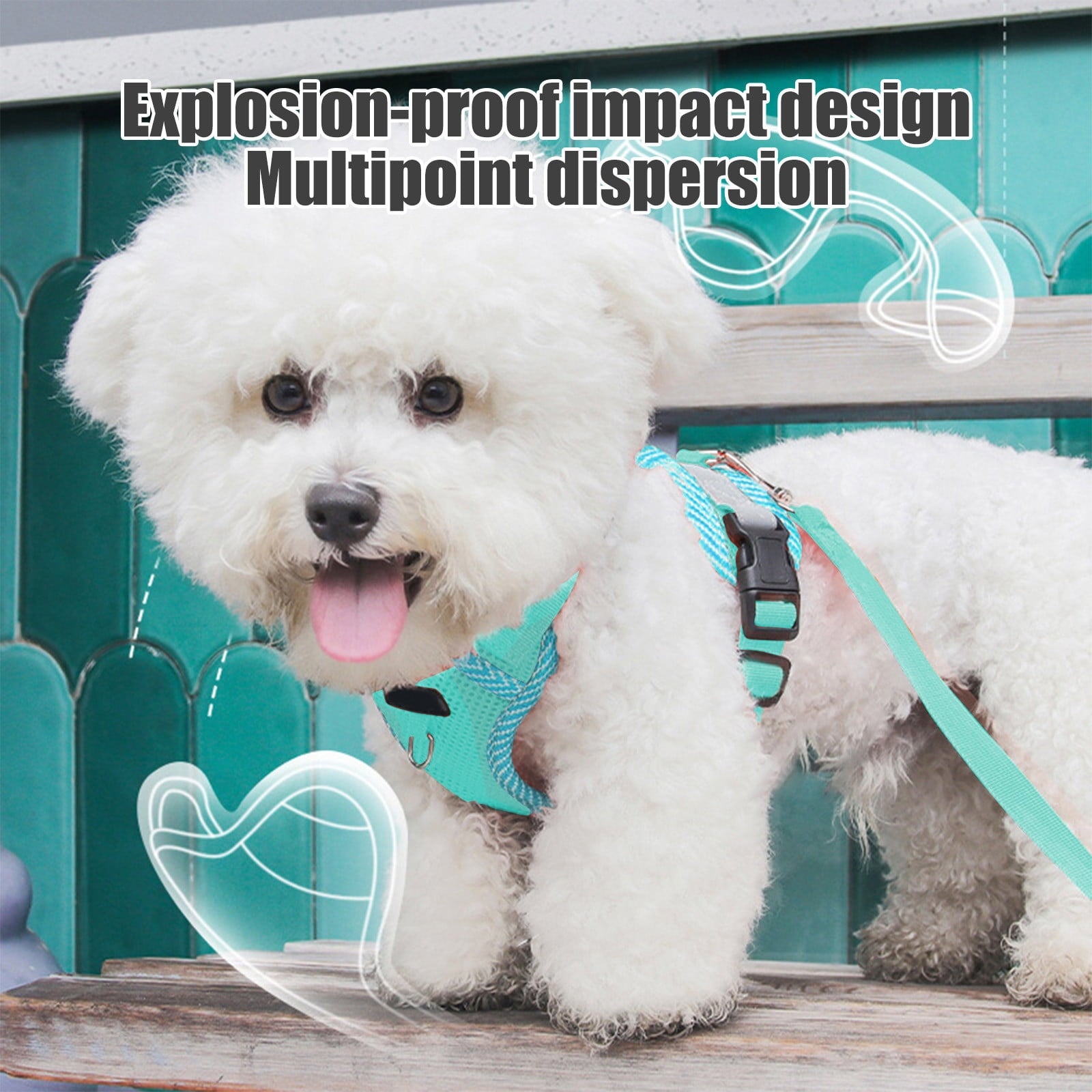 Small Dog Harness with Pet Lead, Puppy Harness Reflective Step-in Puppy Pet Harnesses for Small Medium Dogs and Cats Blue