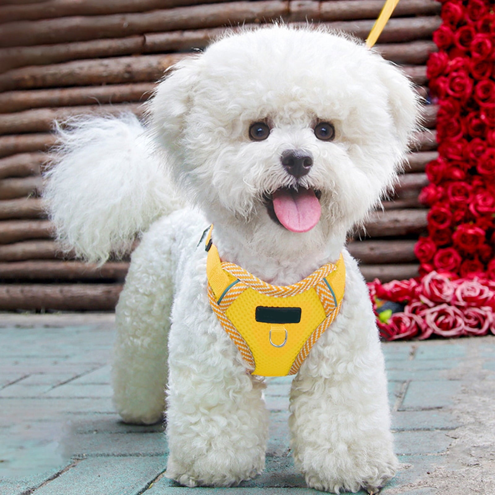 Tyidzon Small Dog Harness with Pet Lead, Puppy Harness Reflective Step-in Puppy Pet Harnesses for Small Medium Dogs and Cats Yellow