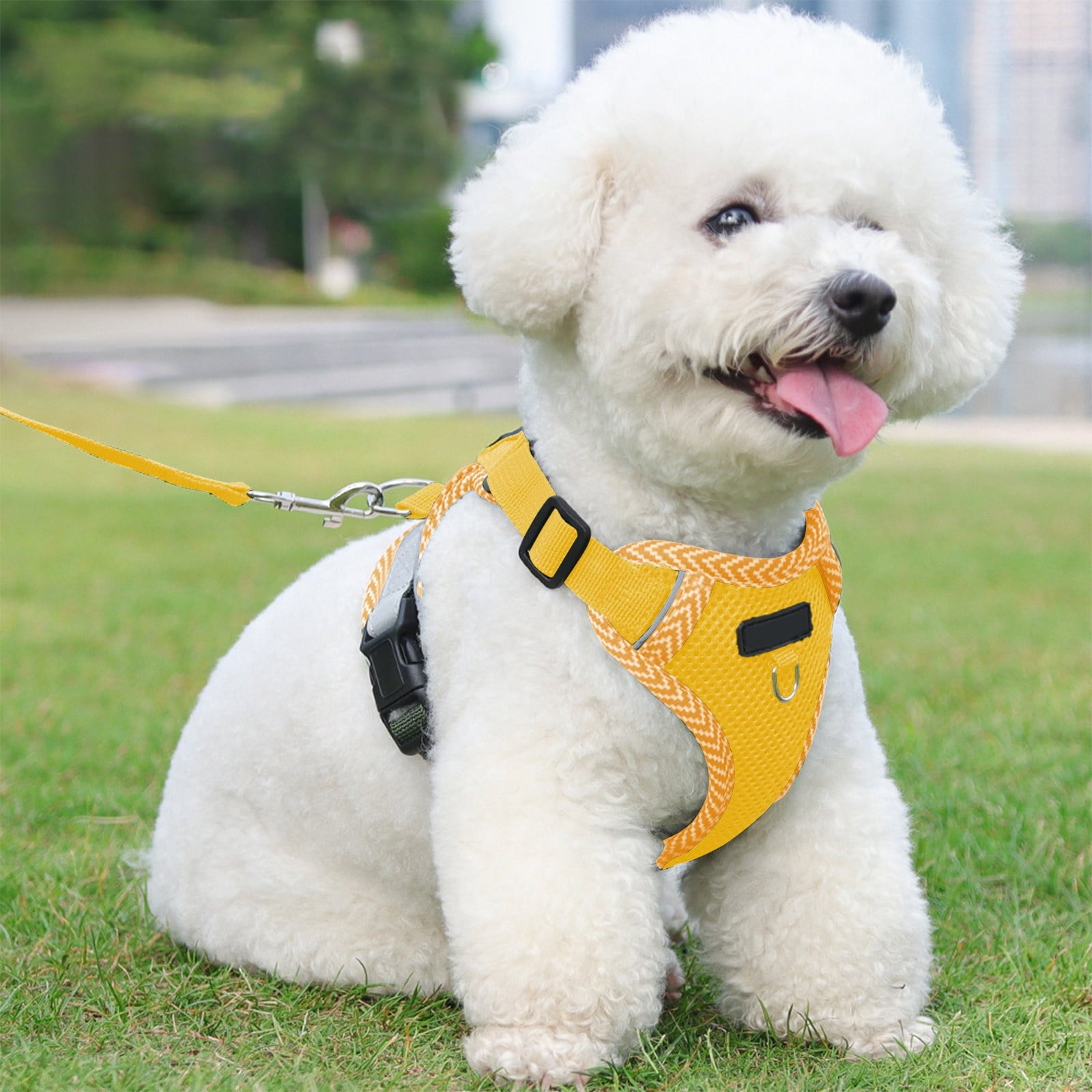 Tyidzon Small Dog Harness with Pet Lead, Puppy Harness Reflective Step-in Puppy Pet Harnesses for Small Medium Dogs and Cats Yellow