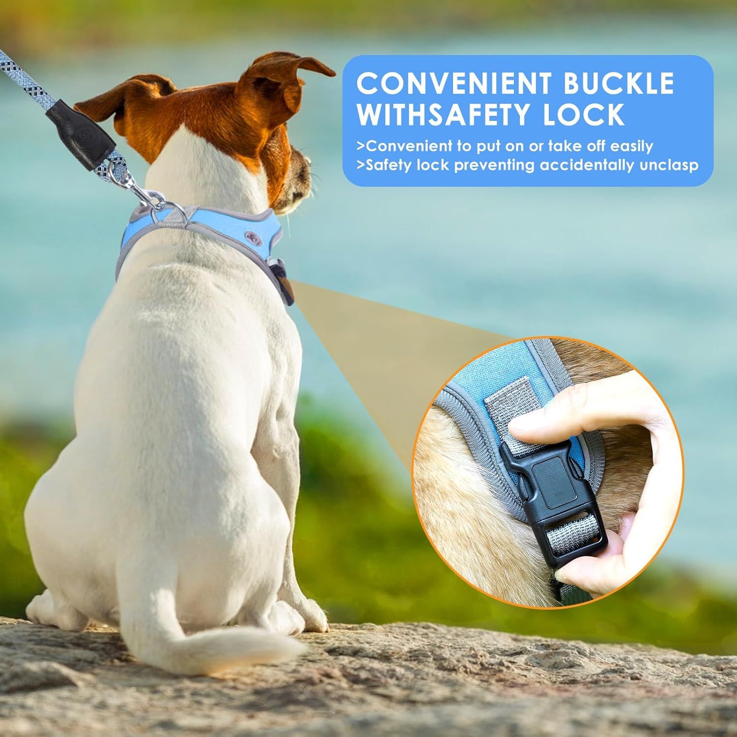 Dog Harness and Leash, No Pull Saddle Style Pet Harness, Breathable Mesh Adjustable Reflective Dog Vest, Dog Leash, for Dogs and Cat Medium Small Harness Blue,S
