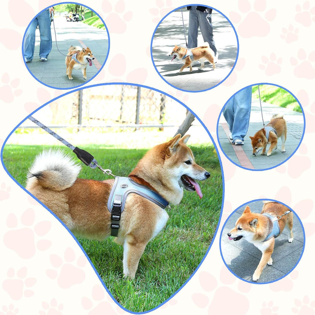 Dog Harness and Leash, No Pull Saddle Style Pet Harness, Breathable Mesh Adjustable Reflective Dog Vest, Dog Leash, for Dogs and Cat Medium Small Harness Blue,XS