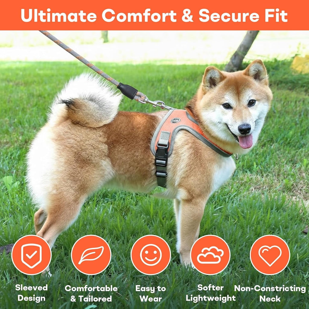Dog Harness and Leash, No Pull Saddle Style Pet Harness, Breathable Mesh Adjustable Reflective Dog Vest, Dog Leash, for Dogs and Cat Medium Small Harness Orange,S