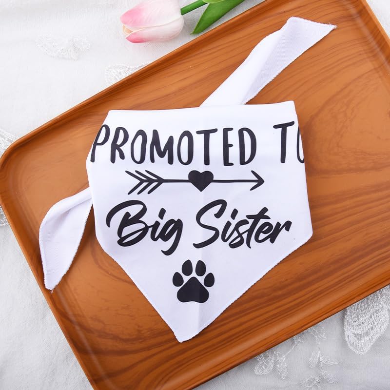 Promoted to Be Big Sister Dog Bandana Baby Announcement Pet Bandanas for Dogs Scarf for Small Medium Large Dogs Baby Gender Reveal Photo Prop Pet Scarf