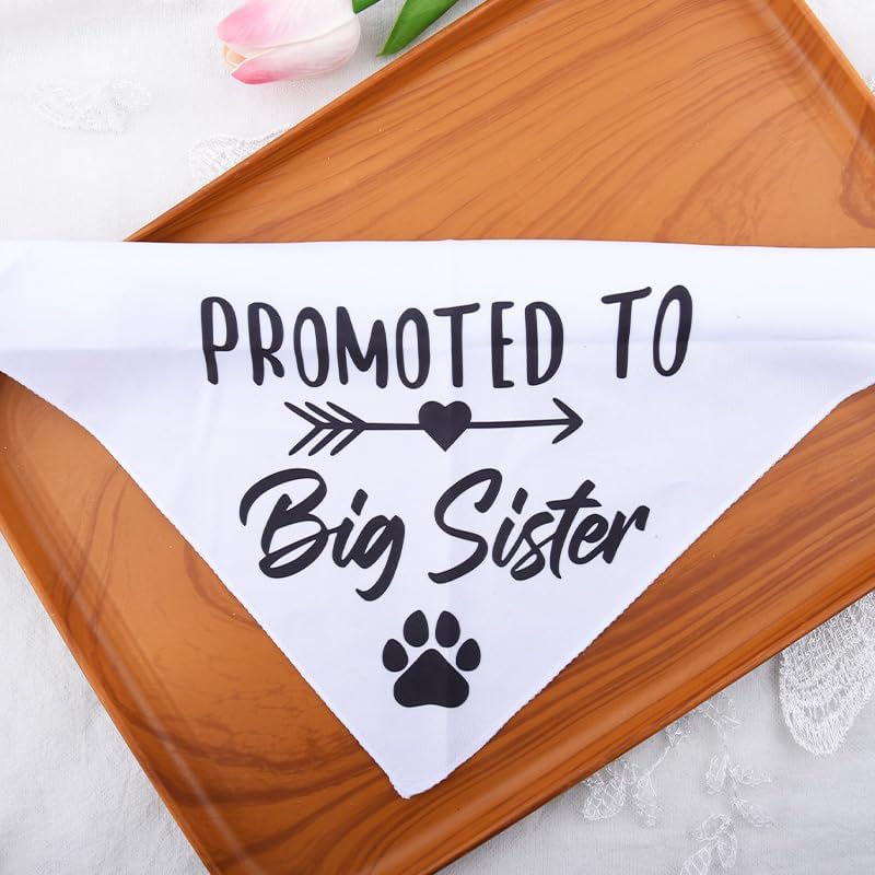 Promoted to Be Big Sister Dog Bandana Baby Announcement Pet Bandanas for Dogs Scarf for Small Medium Large Dogs Baby Gender Reveal Photo Prop Pet Scarf