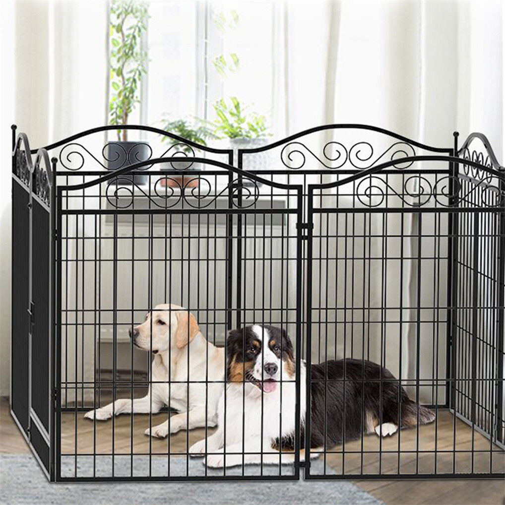 Two dogs inside a black metal 16 panel dog playpen in a room with curtains and plants.