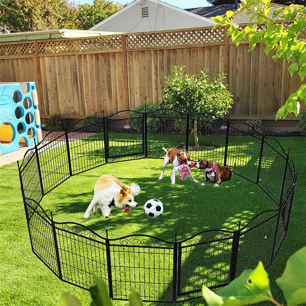 Three dogs playing inside a black metal 16 panel dog playpen on a grassy area.
