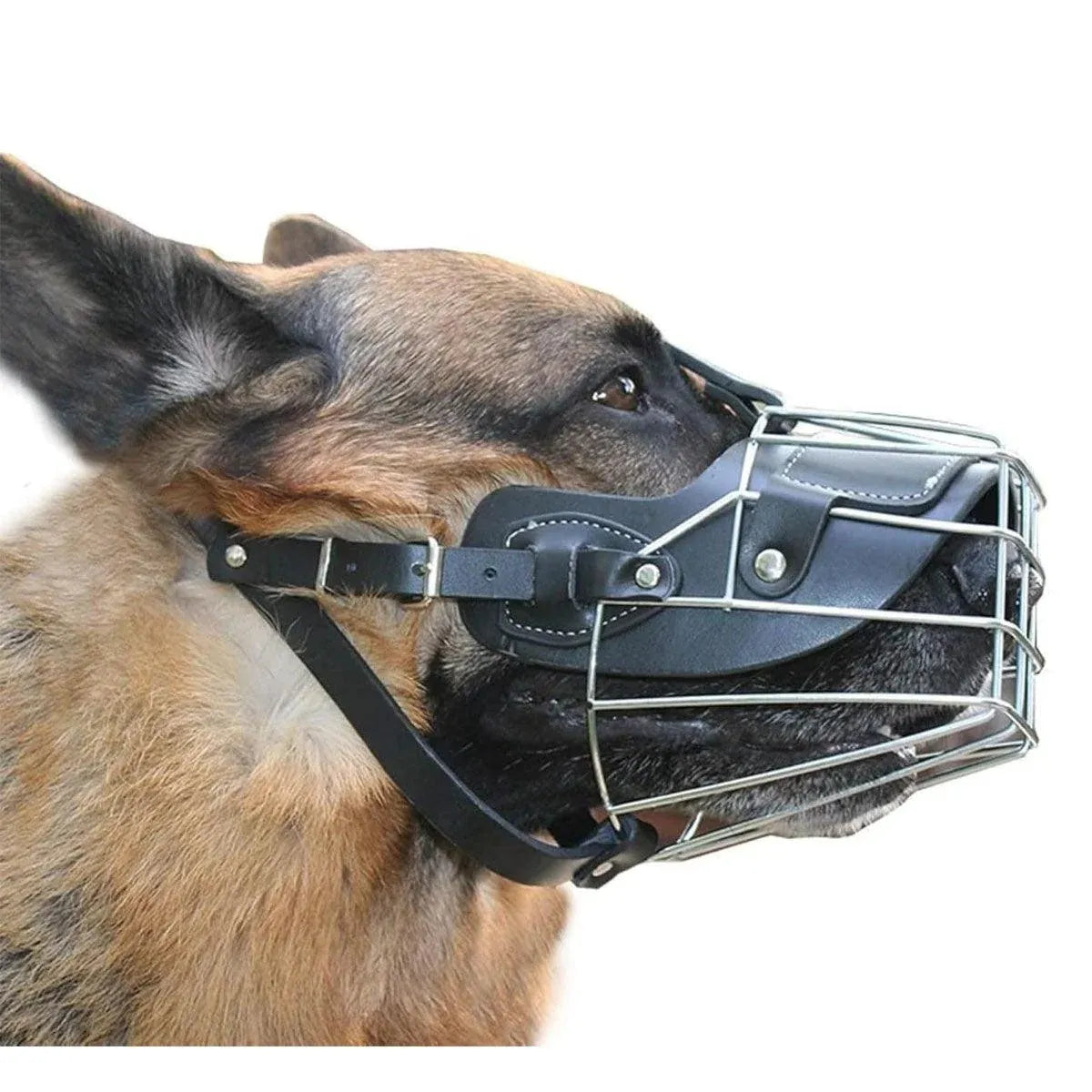Anti Bite Anti Bark Dog Muzzle Mouthguard Adjustable for Small Medium Large Dogs - Black-M