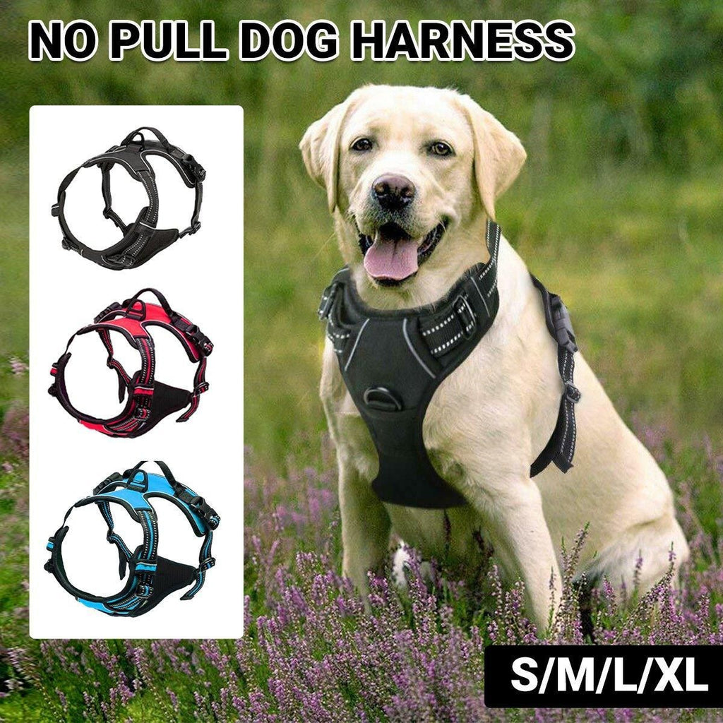No-Pull Dog Harness Vest – Reflective, Adjustable Fit, S to XL