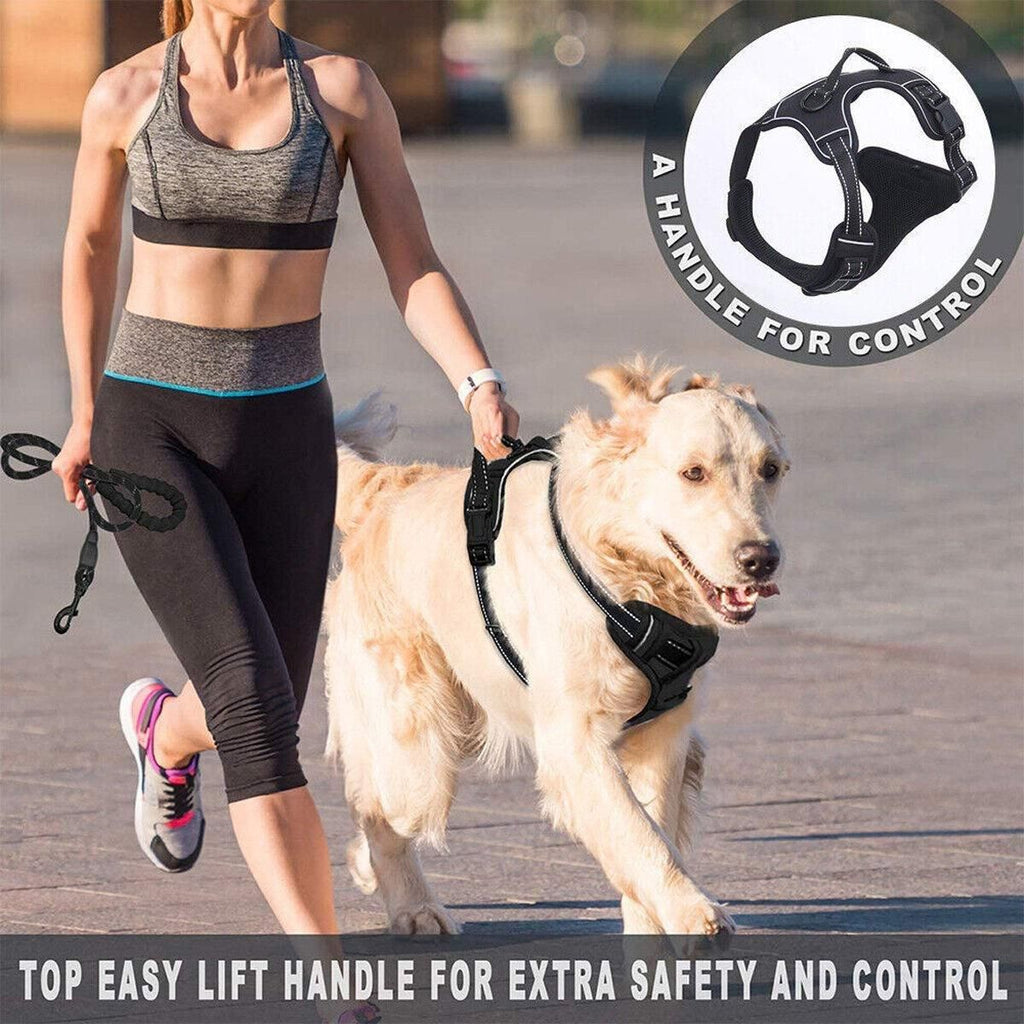 No-Pull Dog Harness Vest – Reflective, Adjustable Fit, S to XL