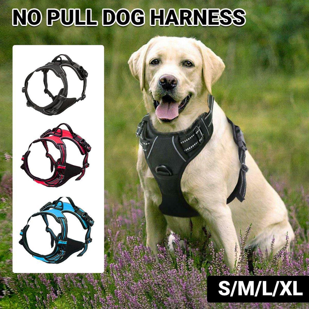 Dog wearing a Black no-pull dog harness vest with reflective strips — front view, with color options displayed on a grassy background. Furry Heart Paws