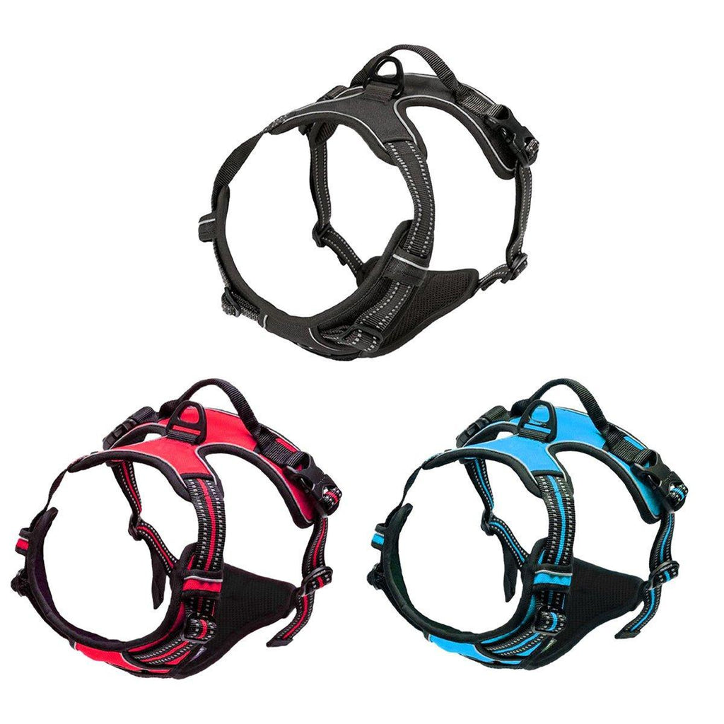 Three no-pull dog harnesses in black, red, and blue on a white background, Furry Heart Paws