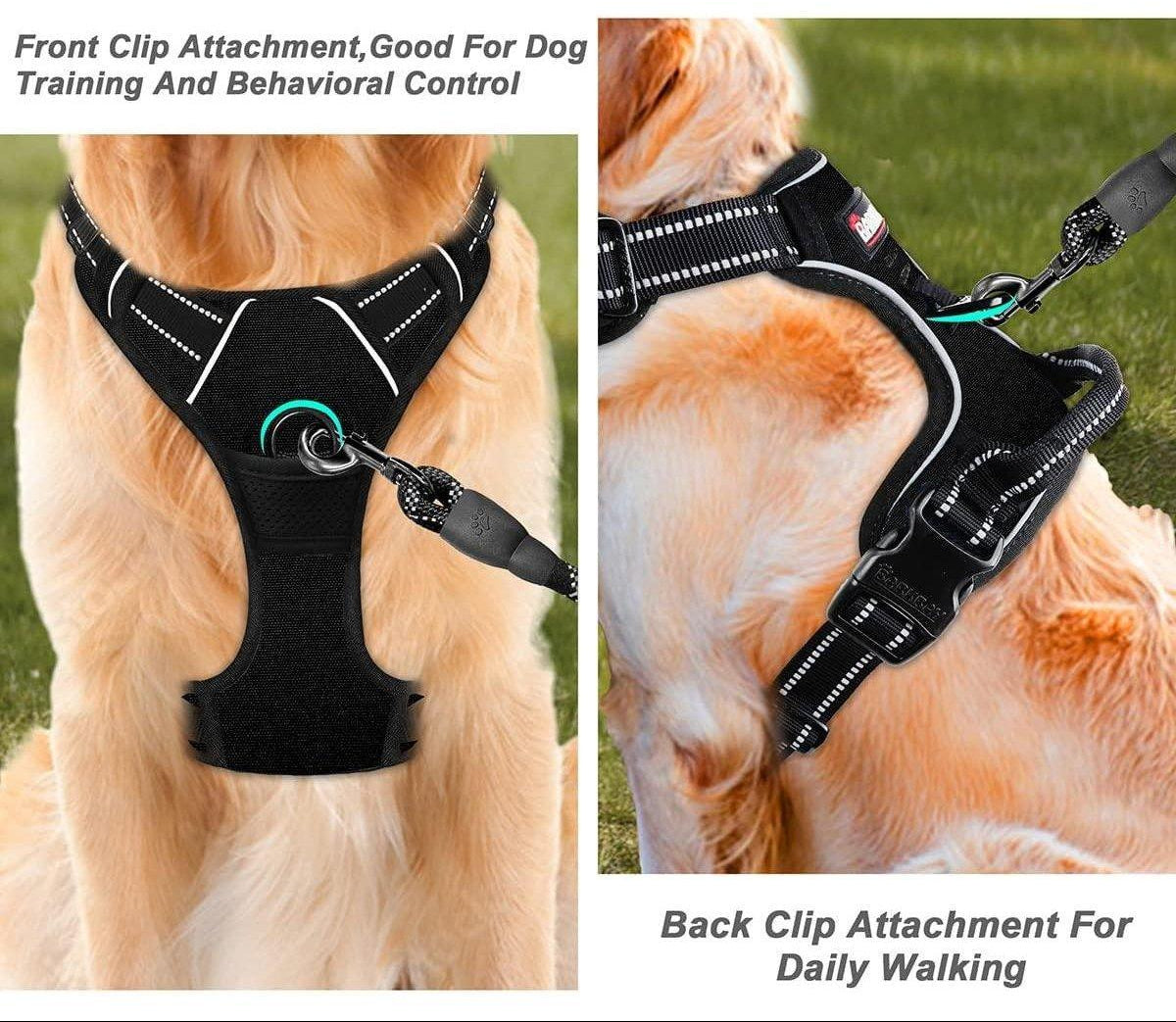 Dog harness with front and back clip attachments on a grassy background.  Furry Heart Paws