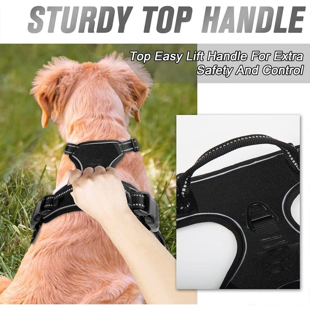 Dog wearing a no-pull harness with a sturdy top handle for safety and control, set against a grassy background. Furry Heart Paws