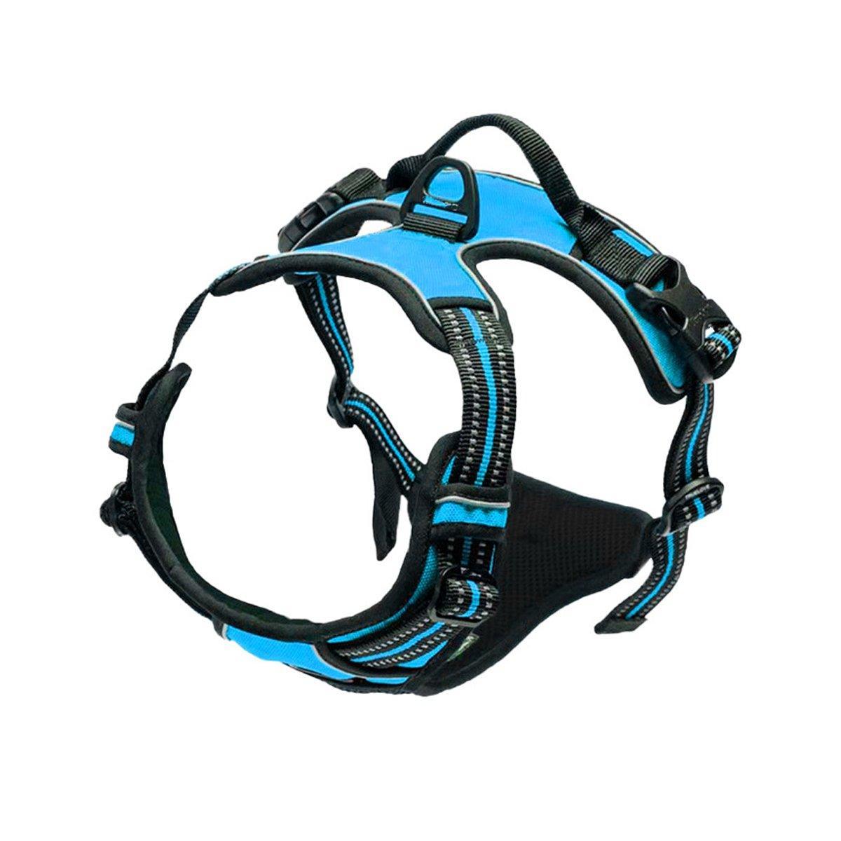 Blue and black dog harness on a white background