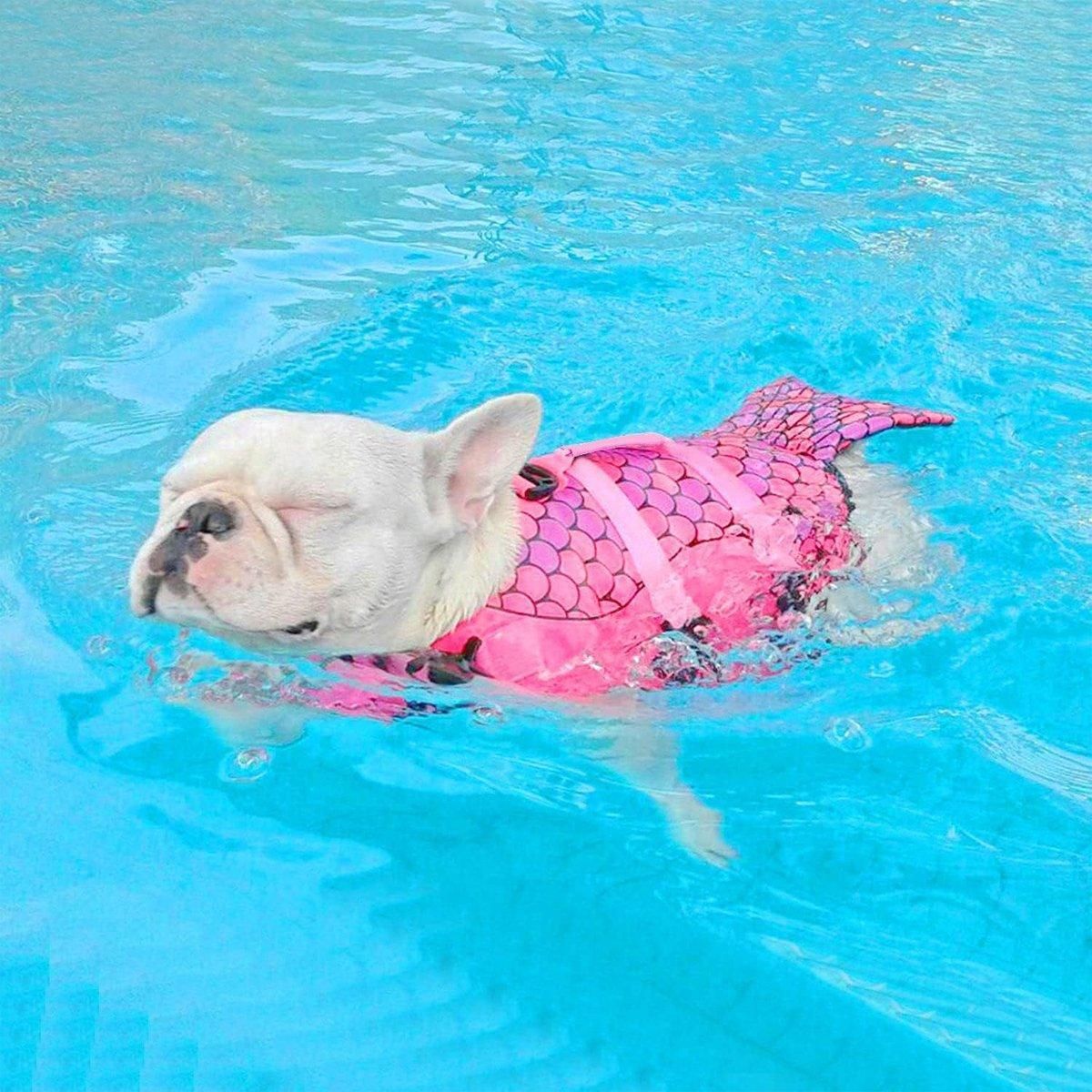 Pet Life Jacket Dog Swim Vest Outdoor Water Gear for Summer Swimming Activities - Grey XL