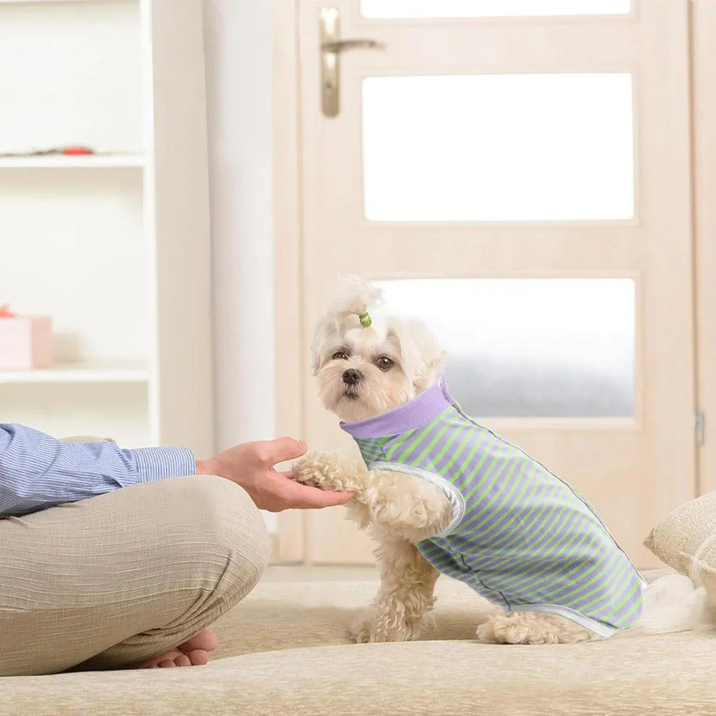 Striped Dog Clothes Belly Protector Vest Tummy Wrap Shirt for Small Dogs Puppies - Grey-XXL