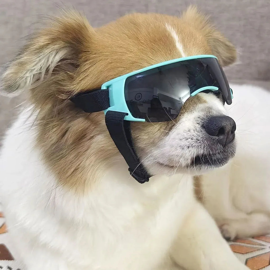 Pet Dog Sunglasses Goggles UV Eye Shield for Small Dogs Outdoor Travel Sunshade - Blue