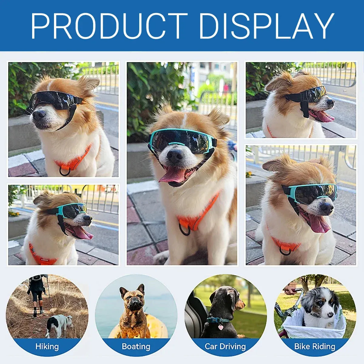 Pet Dog Sunglasses Goggles UV Eye Shield for Small Dogs Outdoor Travel Sunshade - Gold