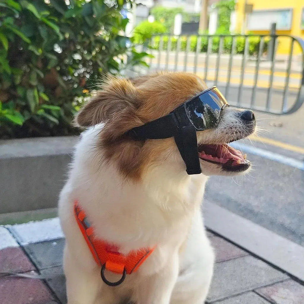 Pet Dog Sunglasses Goggles UV Eye Shield for Small Dogs Outdoor Travel Sunshade - Gold