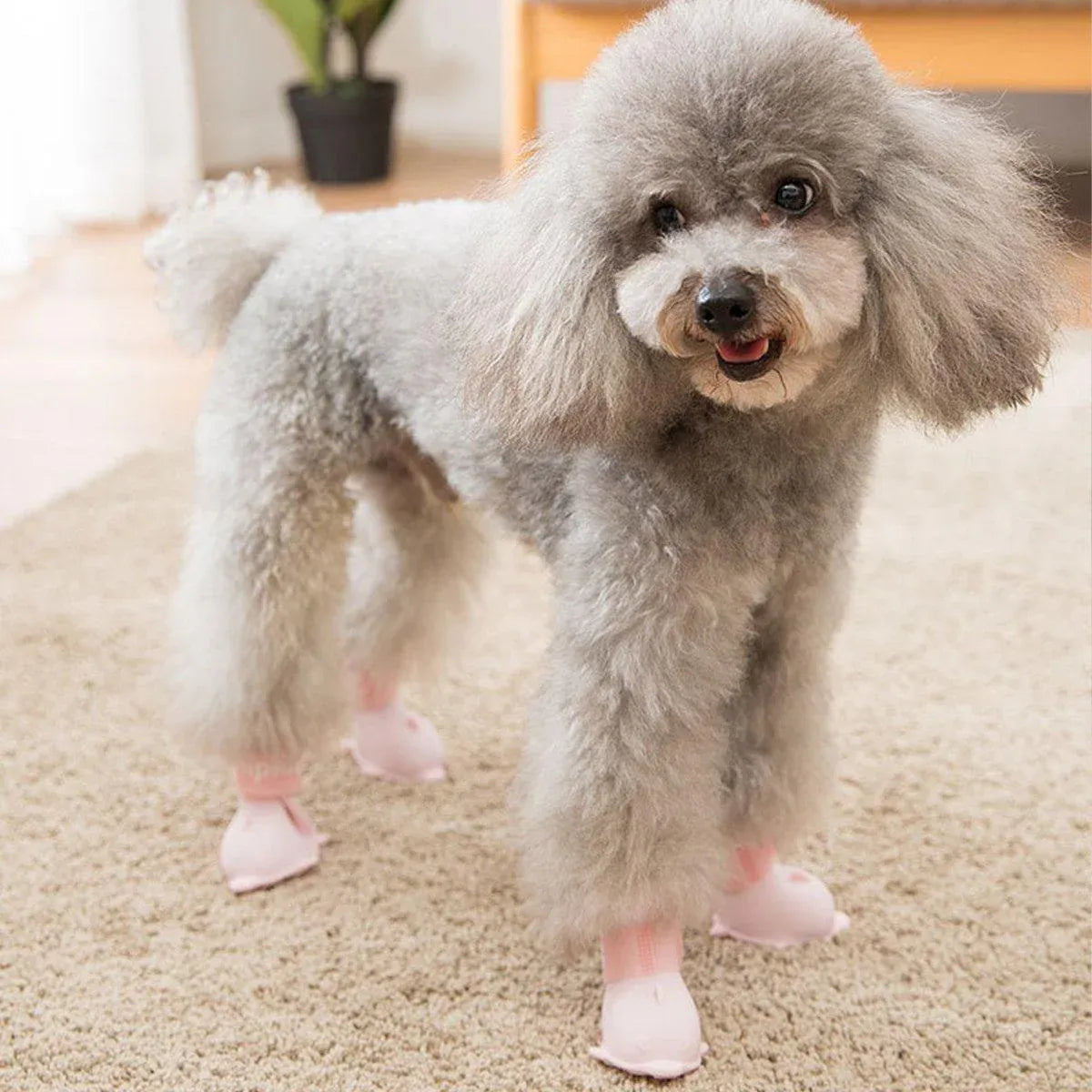 4pcs Cartoon Pet Rain Boots Waterproof Non-Slip Wear-Resistant Shoes for Dogs - Blue - L