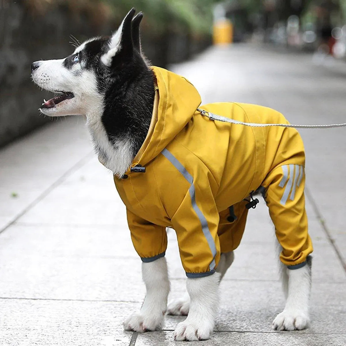 Waterproof Four Corner Pet Raincoats In Large Medium And Small Sizes Are Suitable For Dogs - Blue - XL
