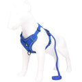 Blue Reflective Mesh Dog Harness and Leash Set - Adjustable No-Pull Vest