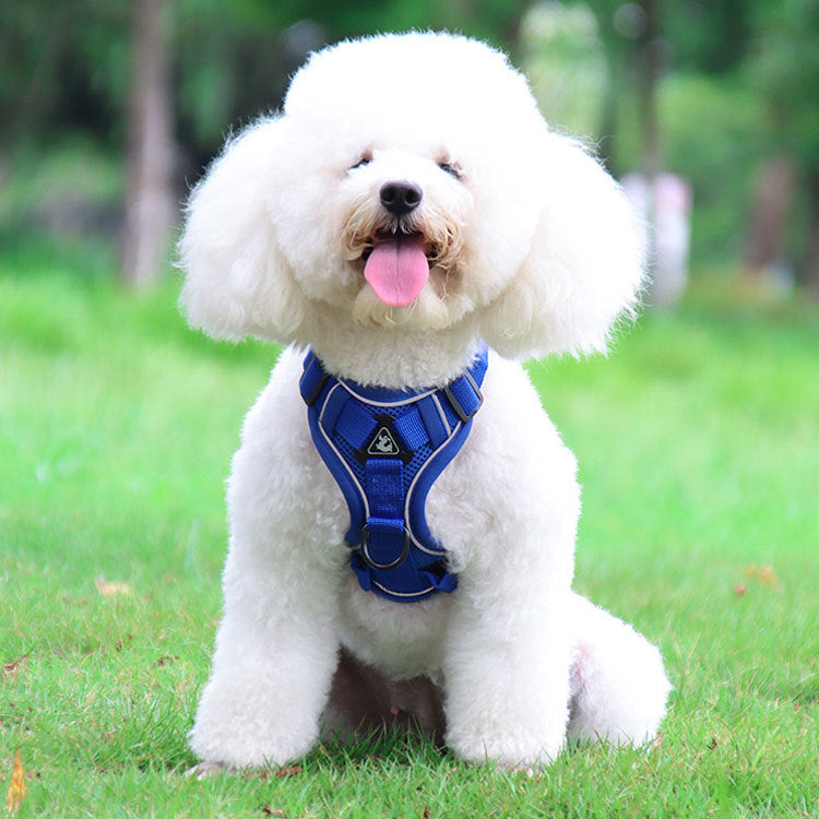 Blue Reflective Mesh Dog Harness and Leash Set - Adjustable No-Pull Vest