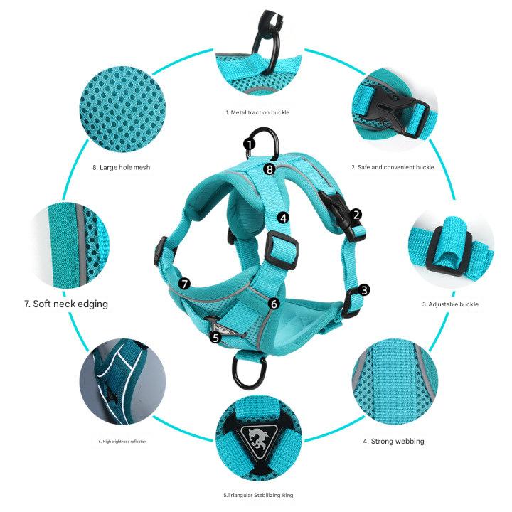 Blue Reflective Mesh Dog Harness and Leash Set - Adjustable No-Pull Vest