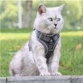 Grey Reflective Mesh Dog Harness and Leash Set - Adjustable No-Pull Vest - L