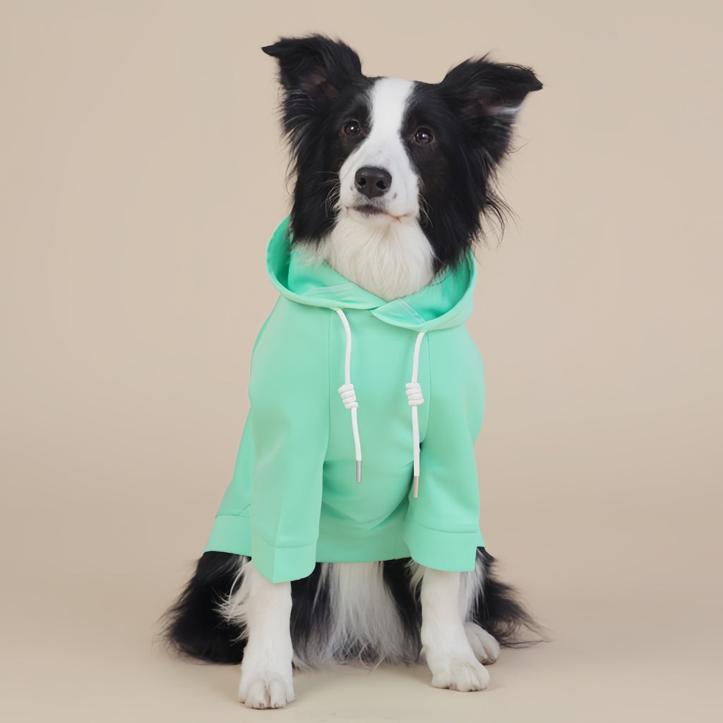 Green Classic Dog Sweatshirt with Hood & Drawstrings - For Large Dogs (Size : XL)