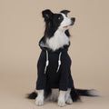 Black Classic Dog Sweatshirt with Hood & Drawstrings - For Large Dogs (Size : 2XL)