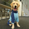 4XL Recommended 30-40 Pounds Blue Autumn-Winter Dog Hoodie for Medium to Large Breeds - Golden Retriever & Labrador
