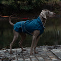50# Blue Waterproof Reflective Dog Raincoat for Small to Large Dogs