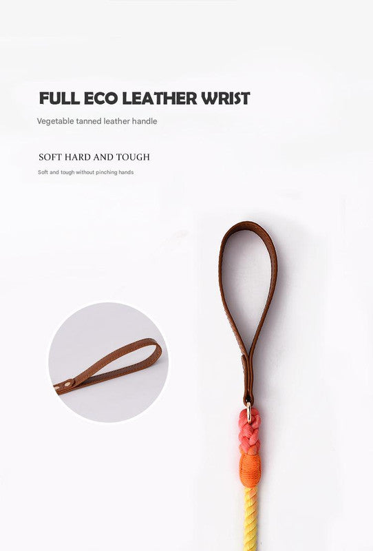 Premium Leather Pet Collar and Leash - Soft, Strong Braided Rope (Wine red - Size M)