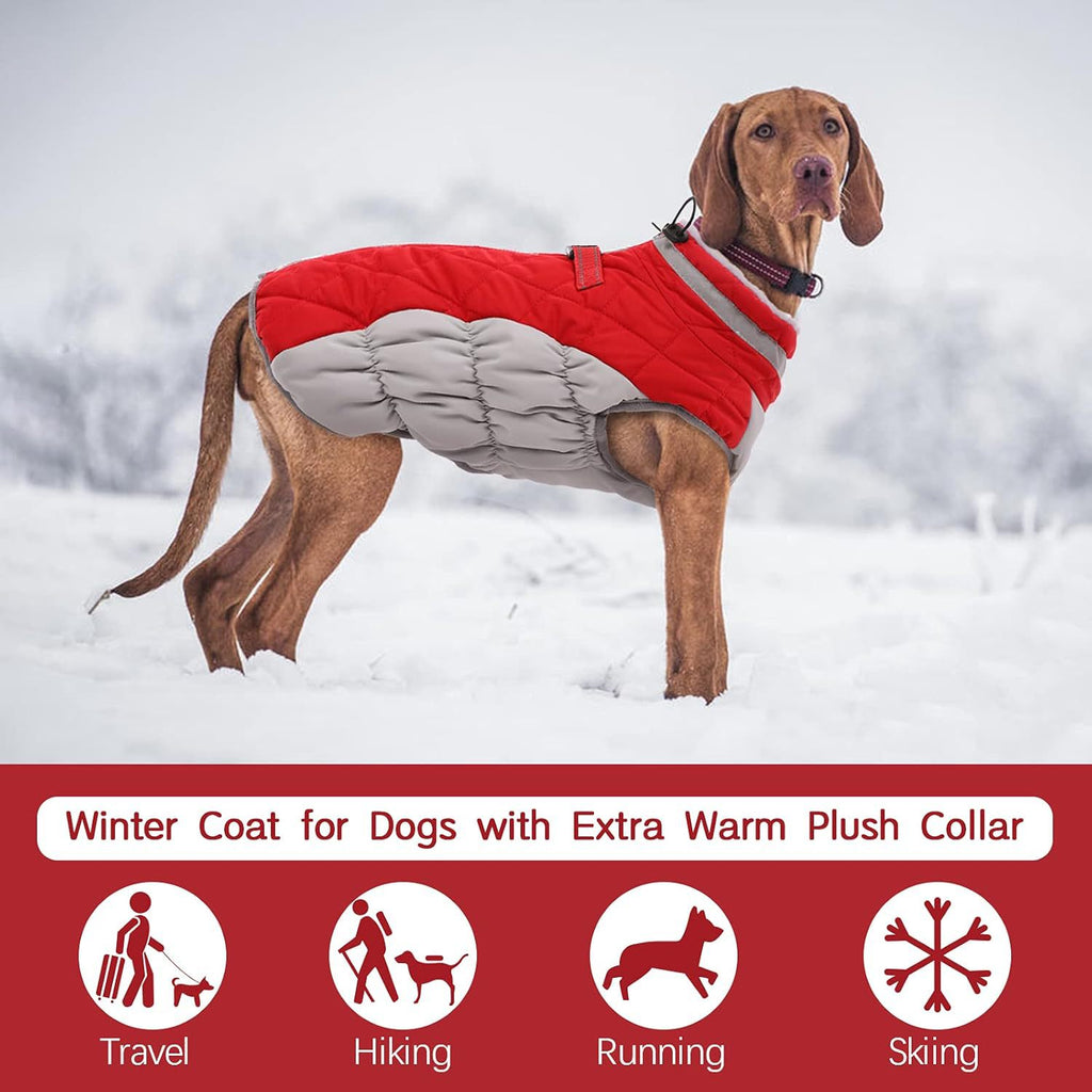 XS Red Grey Premium Winter Puffer Dog Coat - Windproof & Fleece-Lined Jacket for Cold Weather