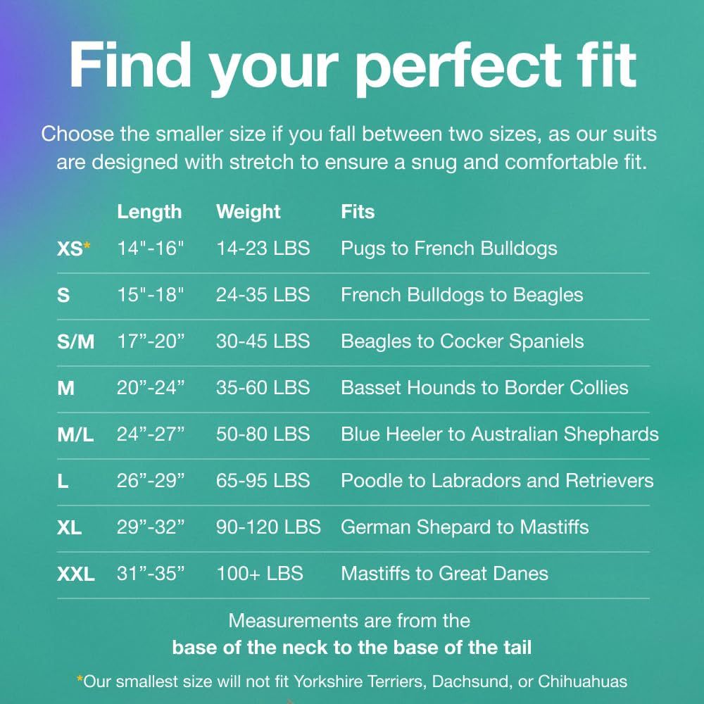 S/M Blue Premium Pet Physiological Suit - Comfortable & Breathable Bamboo Modal Recovery Suit