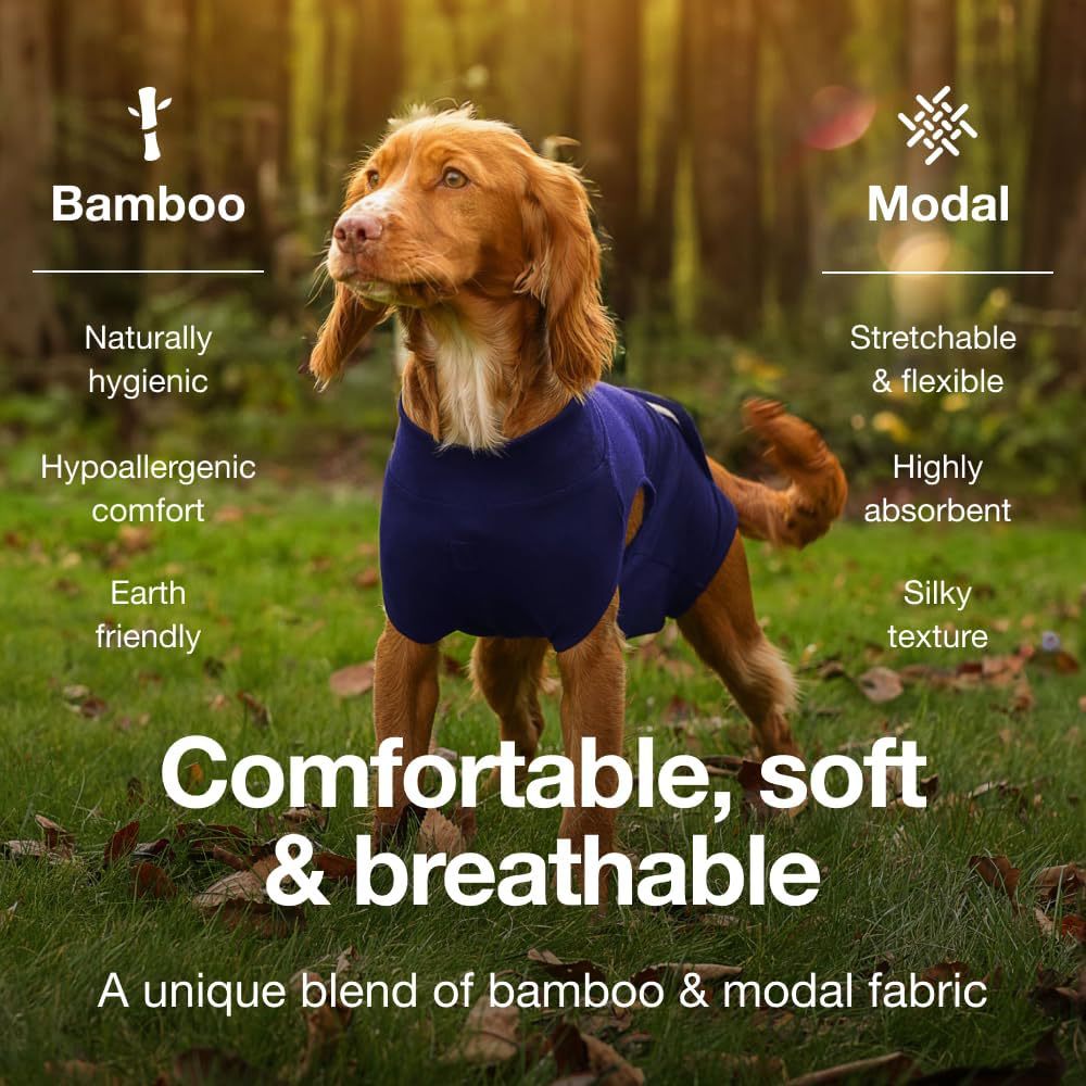 S/M Blue Premium Pet Physiological Suit - Comfortable & Breathable Bamboo Modal Recovery Suit